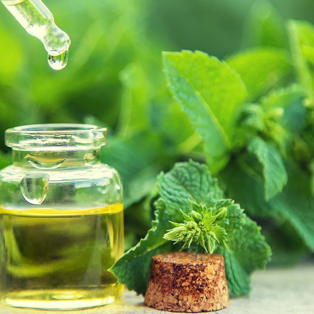 Mint essential oil